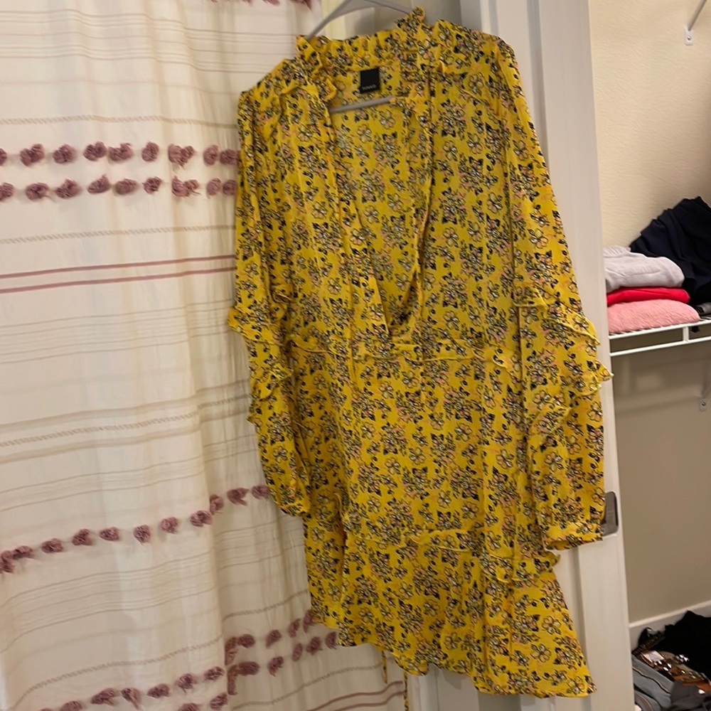Pinko Dress